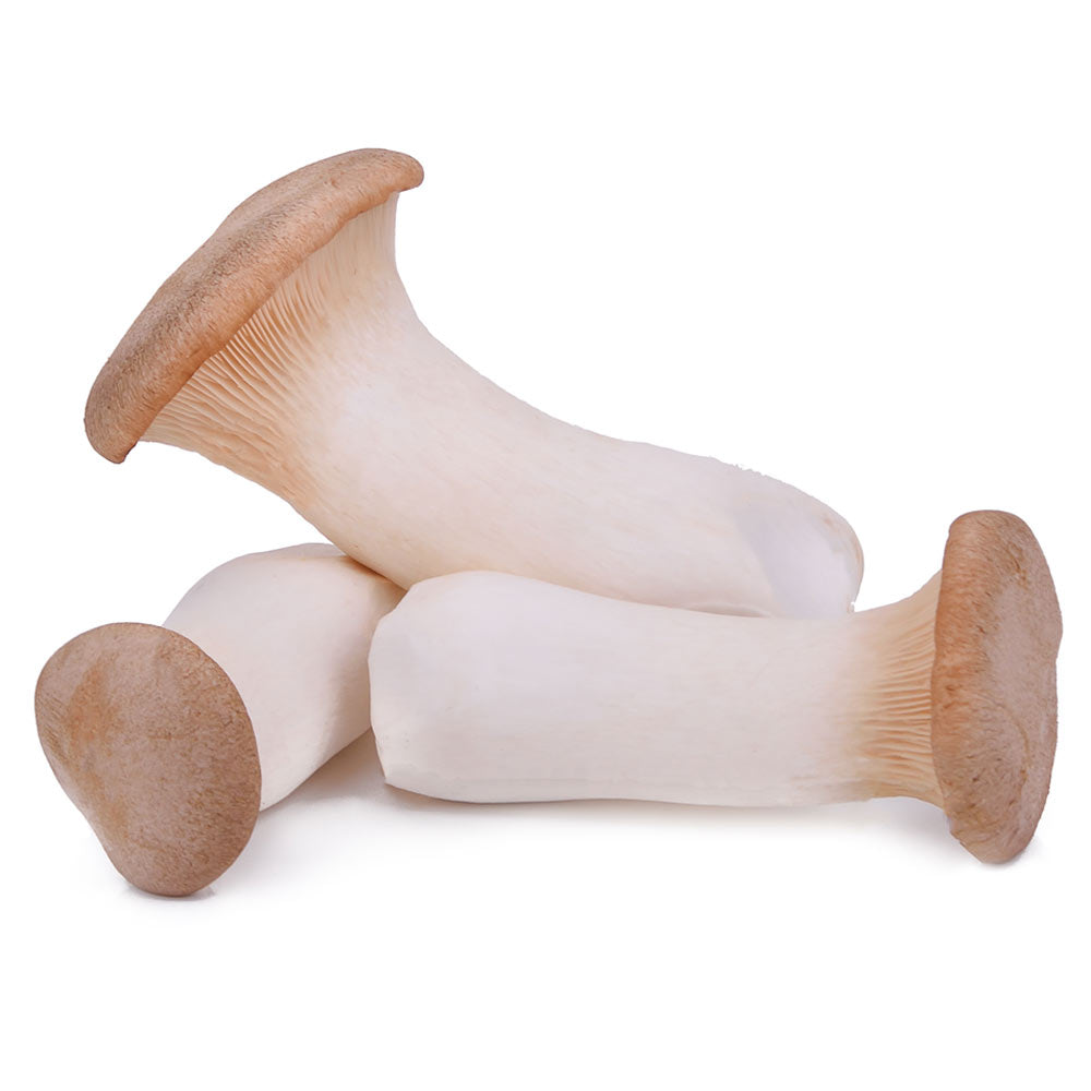 Royal Trumpet Mushroom