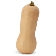 Butternut Squash