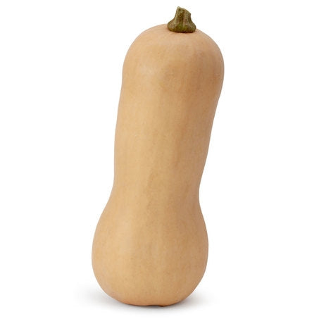 Butternut Squash