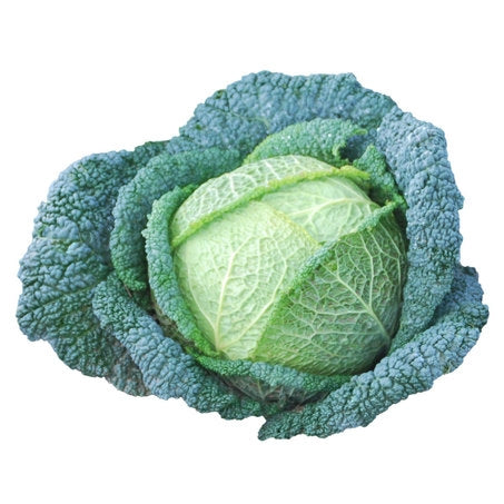 Savoy Cabbage