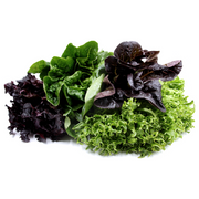 Artisan Lettuce Blend