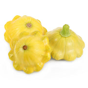 Patty Pan Yellow Squash