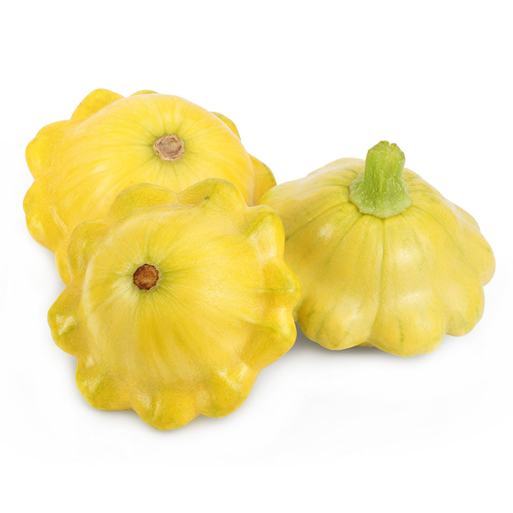 Patty Pan Yellow Squash