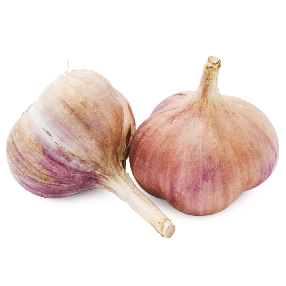 2lb Colossal Garlic