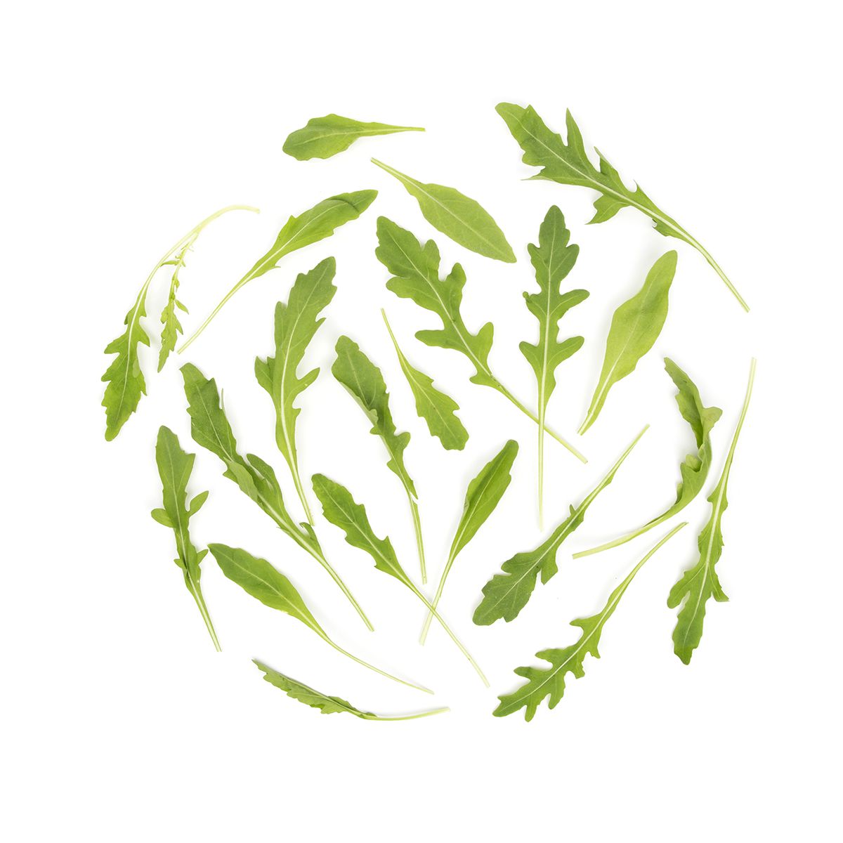 Organic Wild Arugula