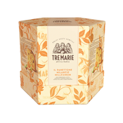 Large Panettone With Raisisn And Candied Fruit