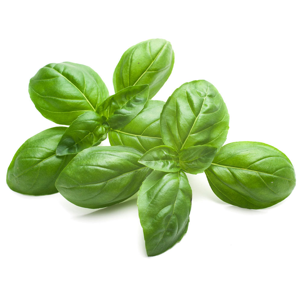 Basil clean 1lb