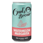 Watermelon Margarita Mixer