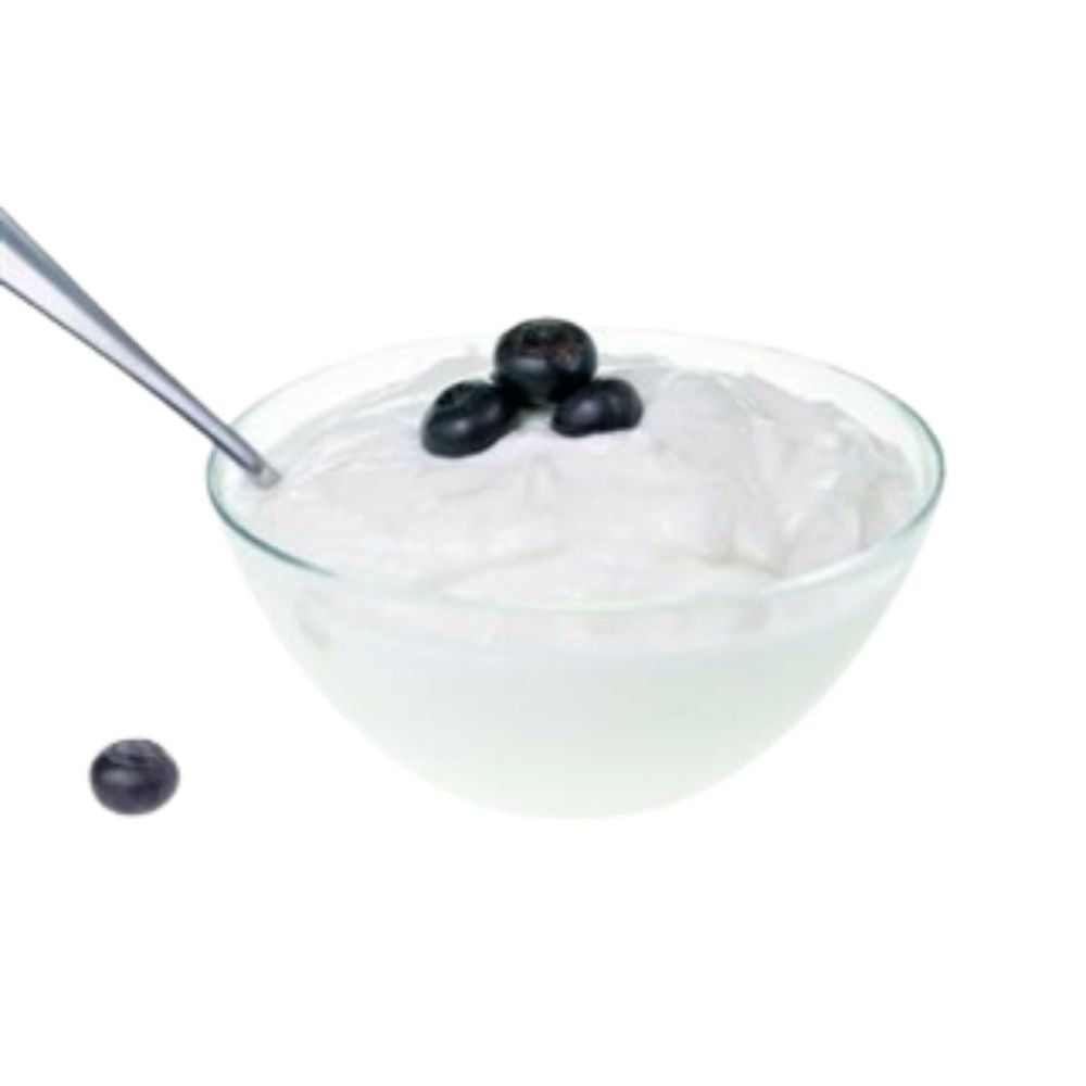 BASE ICE CREAM YOGURT FLAVOR