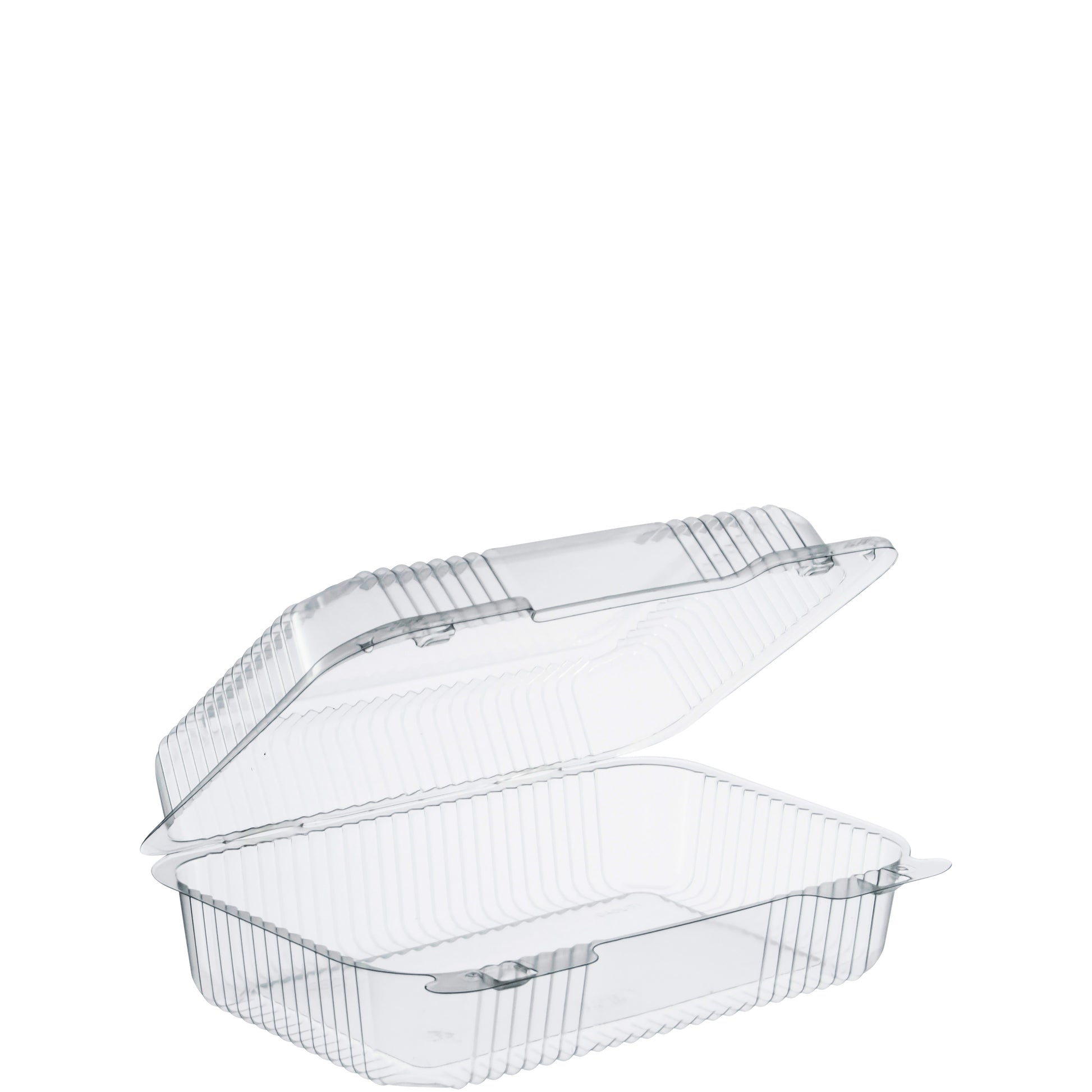 9X6X3 Hinged Plastic Container