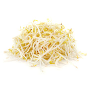 Bean Sprouts