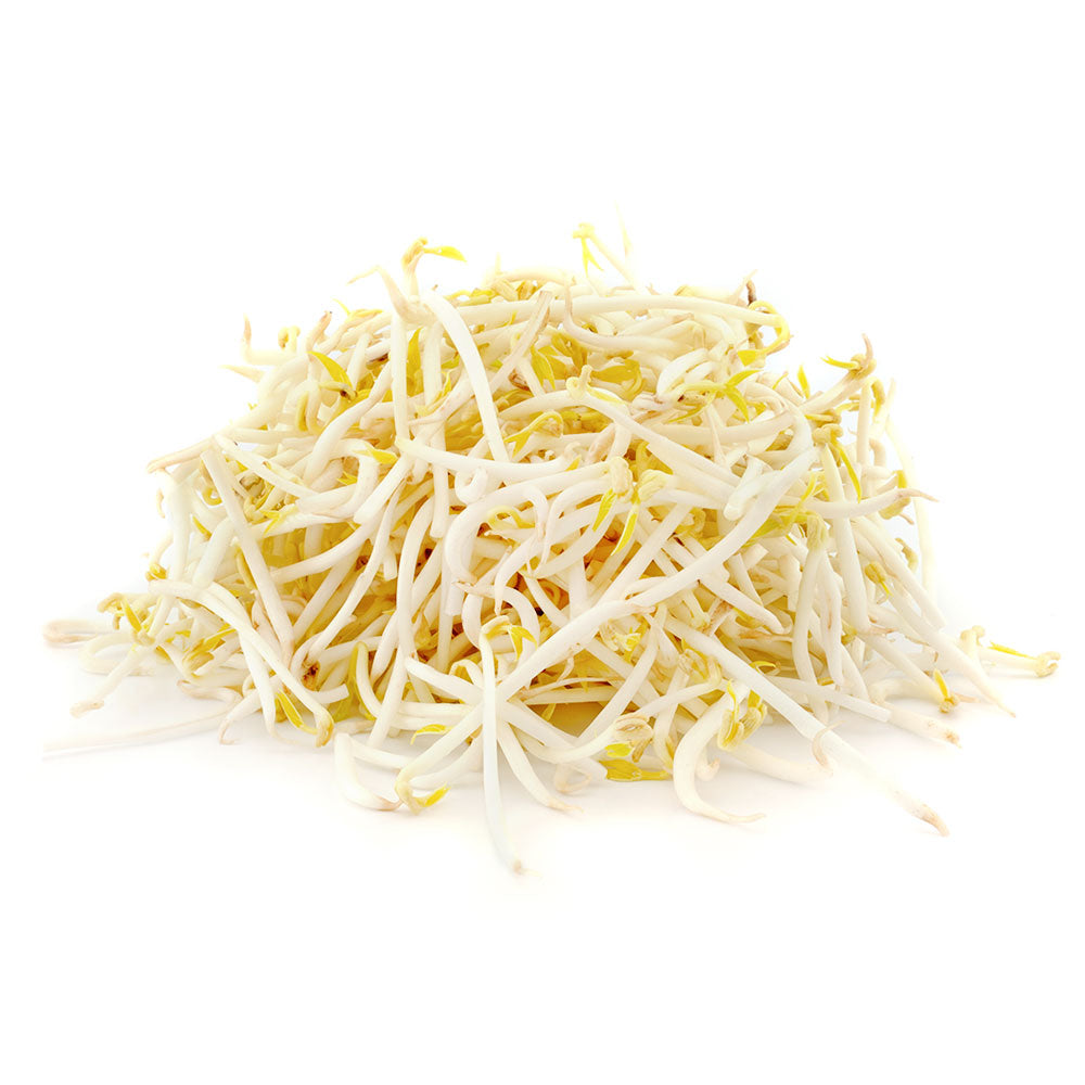 Bean Sprouts