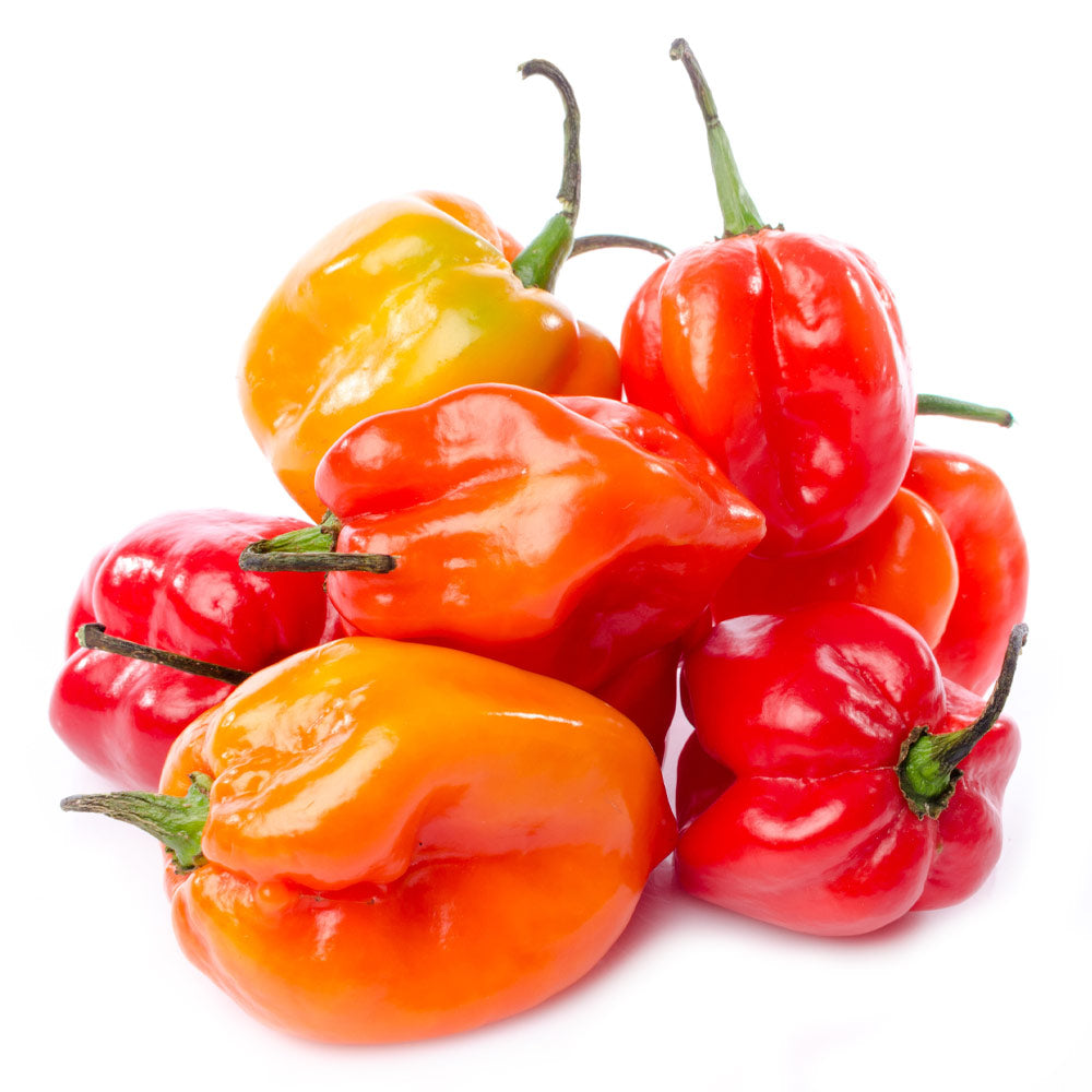 Scotch Bonnet & Habanero Peppers