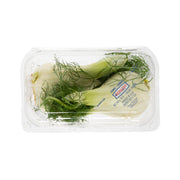 Fennel