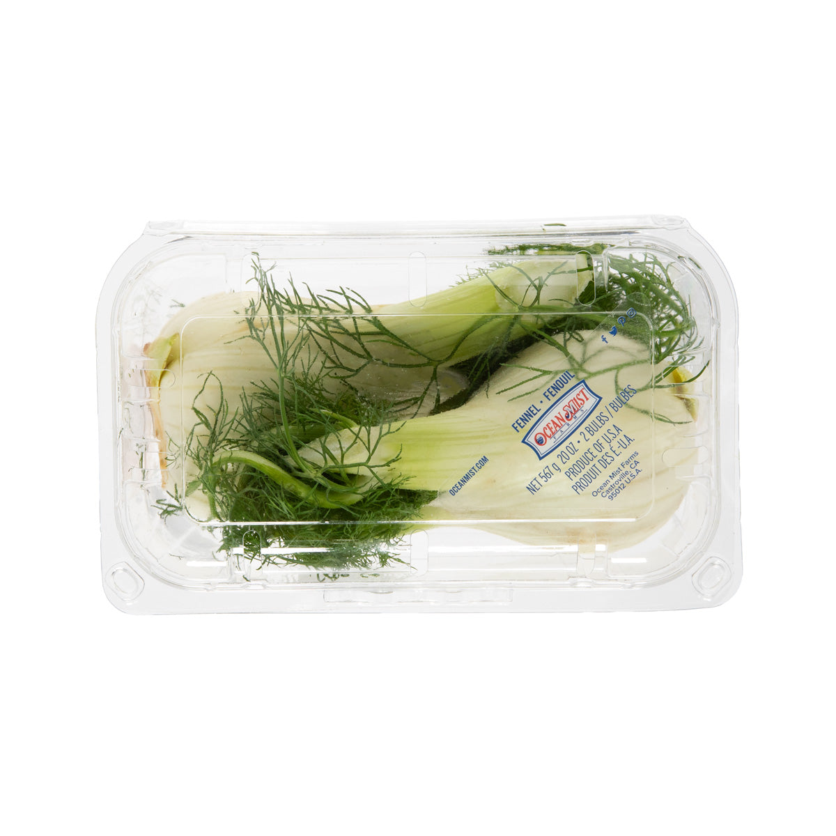 Fennel