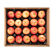 Panta-Pack Royal Gala Apples