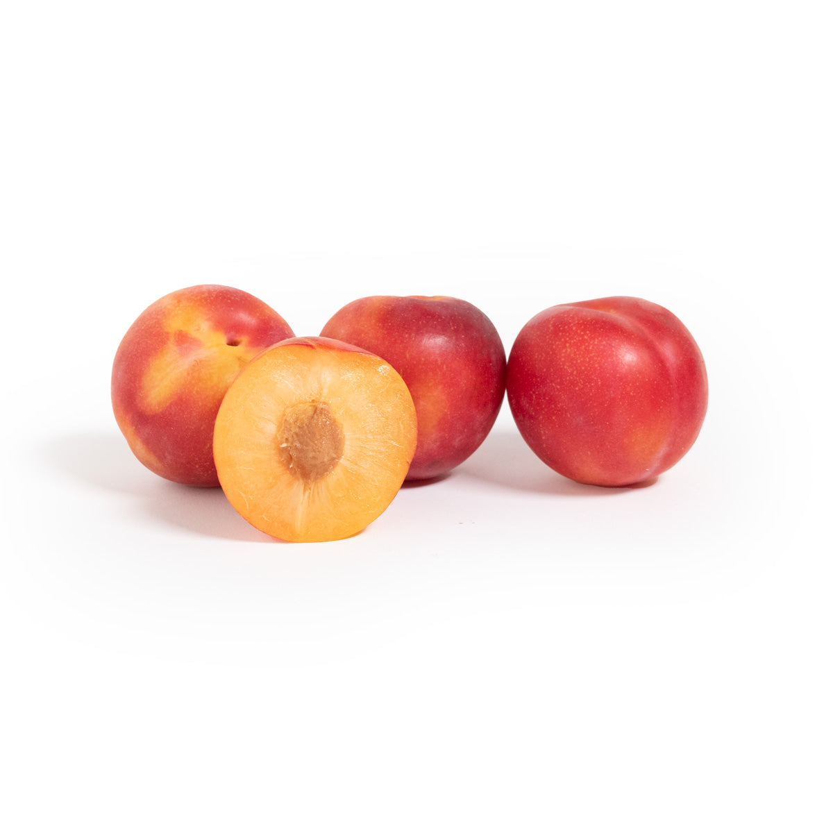 Magenta Velvet Apricots