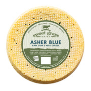 Asher Blue Wheel