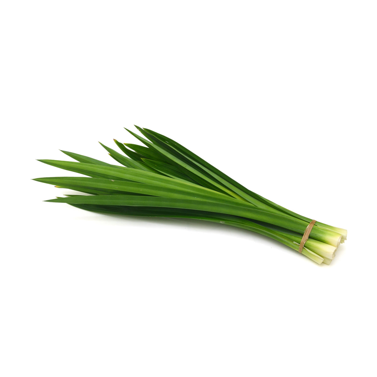Frozen Pandan Leaves