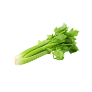 Organic Celery Sleeve
