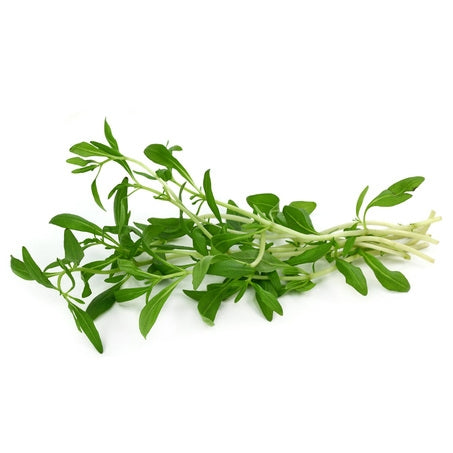 Tarragon
