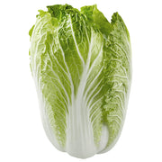 Napa Cabbage