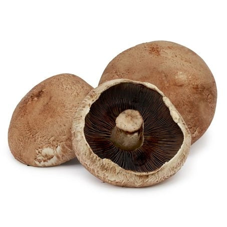 Large Portabello Mushroom