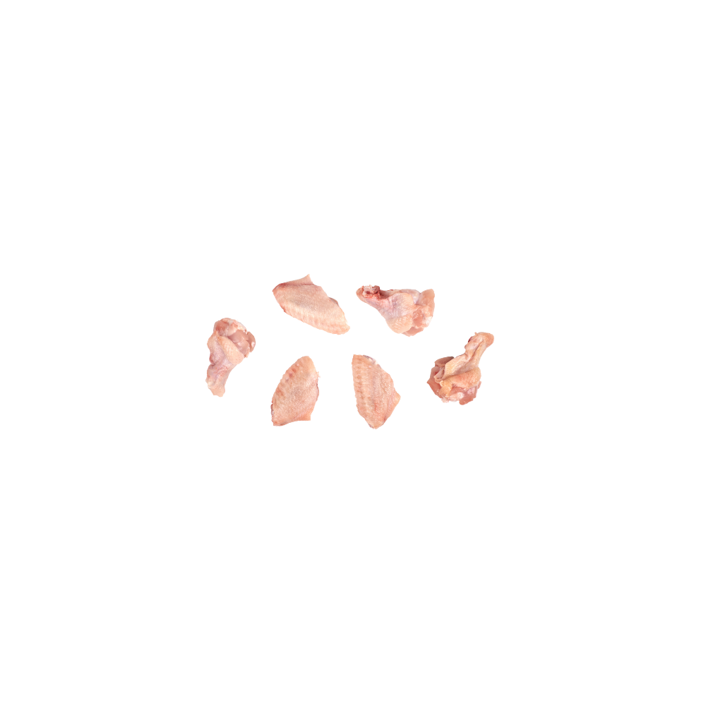 Party Chicken Wings