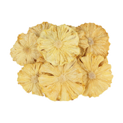 Dried Pineapple Slices