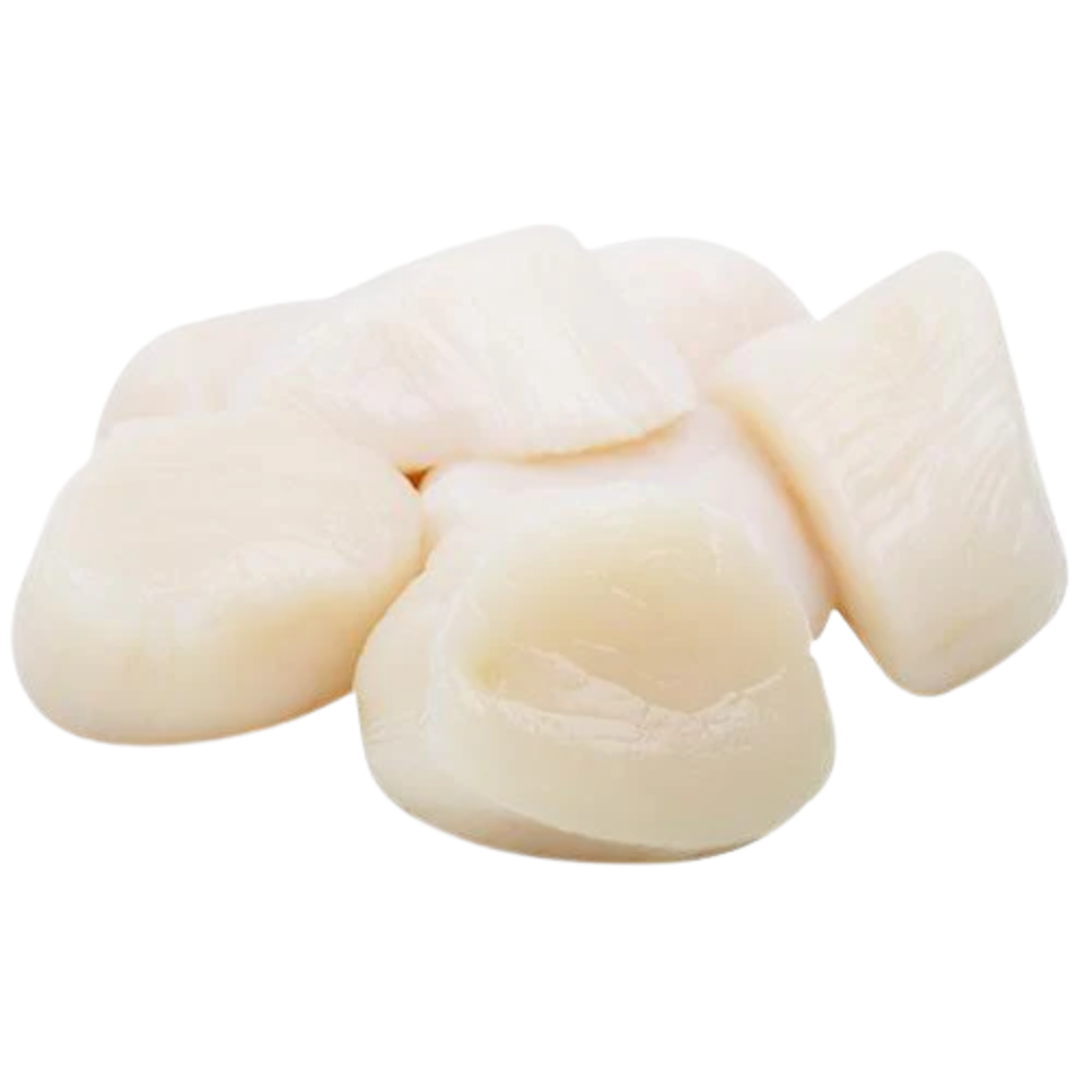 10-20 Frozen Sea Scallops
