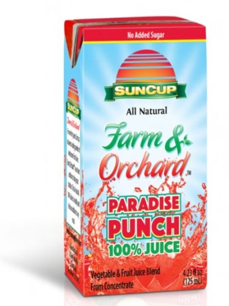 Paradise Punch 100% Juice 4.23oz Box
