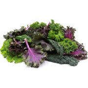 Mixed Baby Kale 3lb