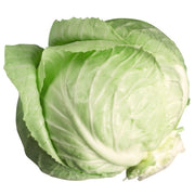 Green Cabbage