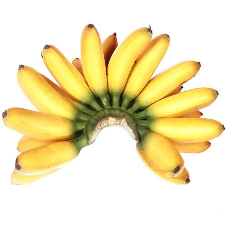Petit Bananas On Turn