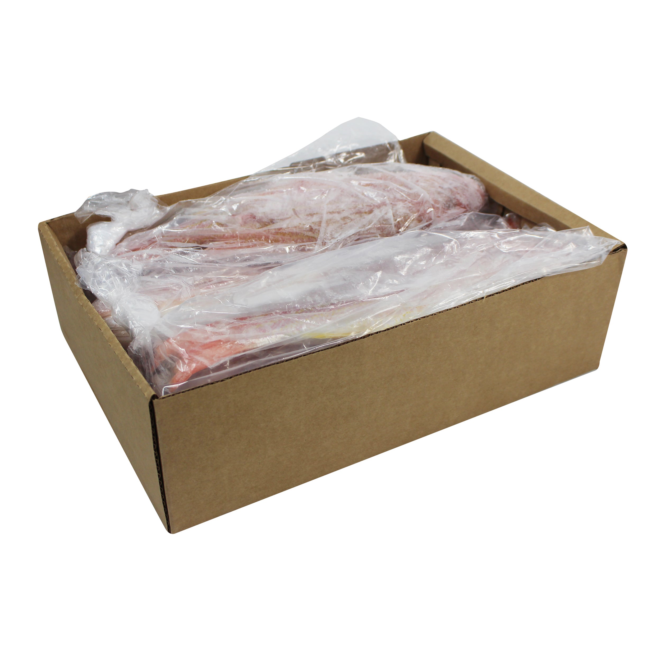 Red Lane Snapper