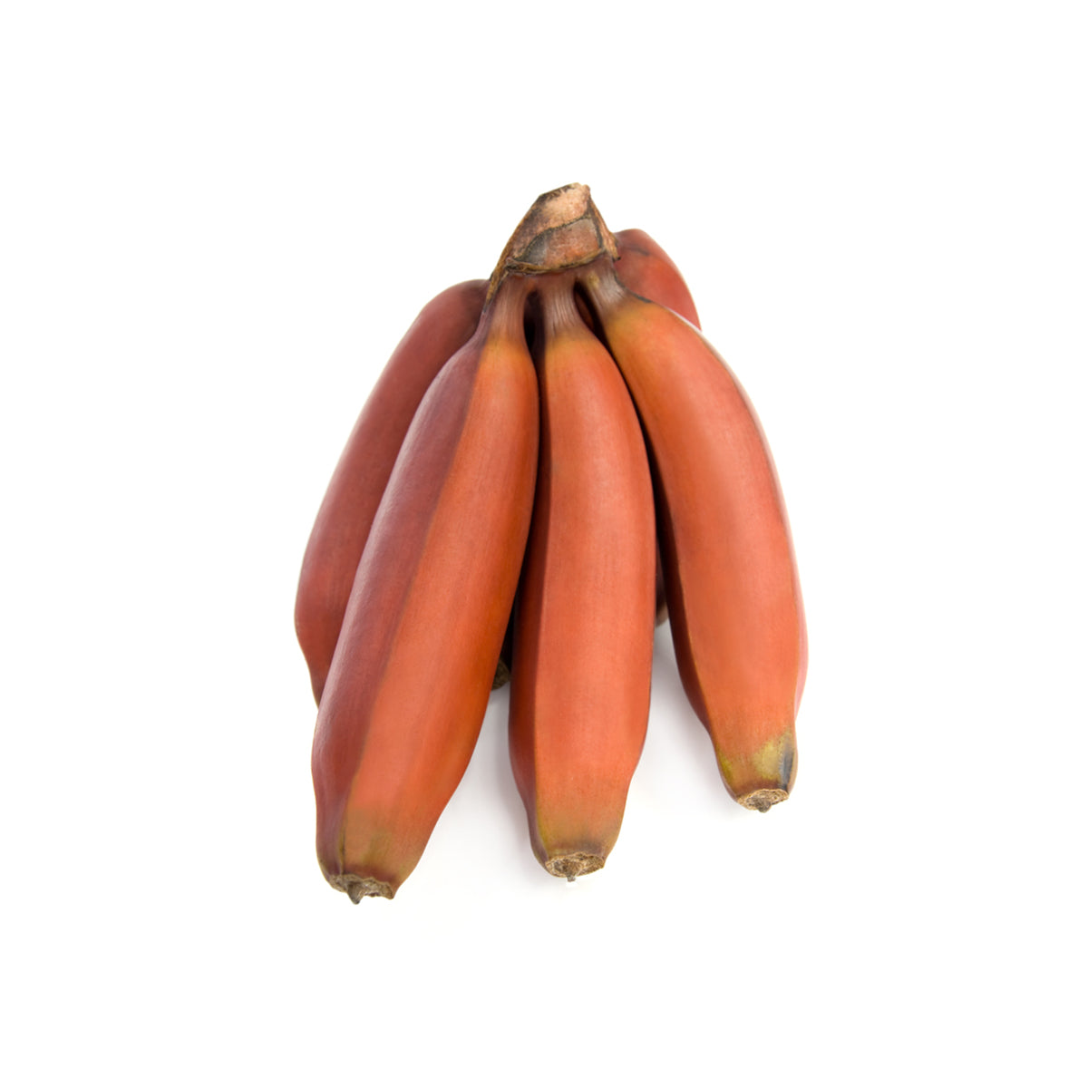 Red Bananas