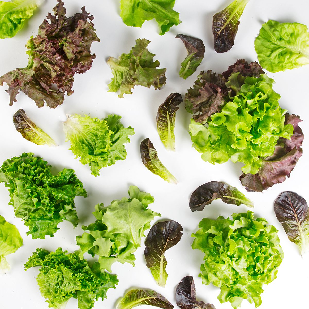 Baby Lettuce Mix