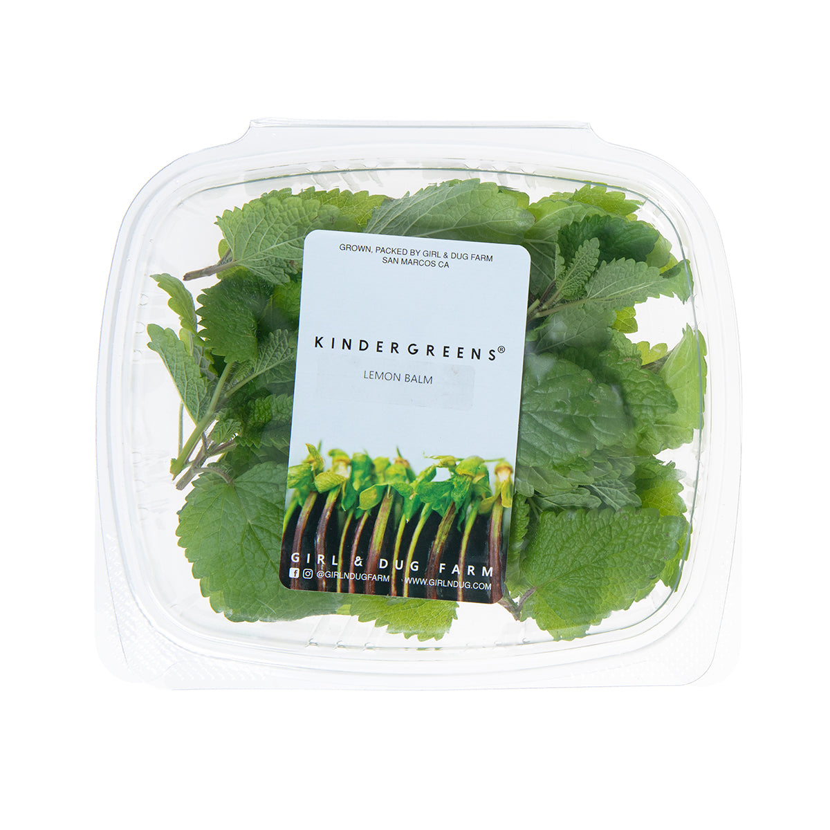 Lemon Balm