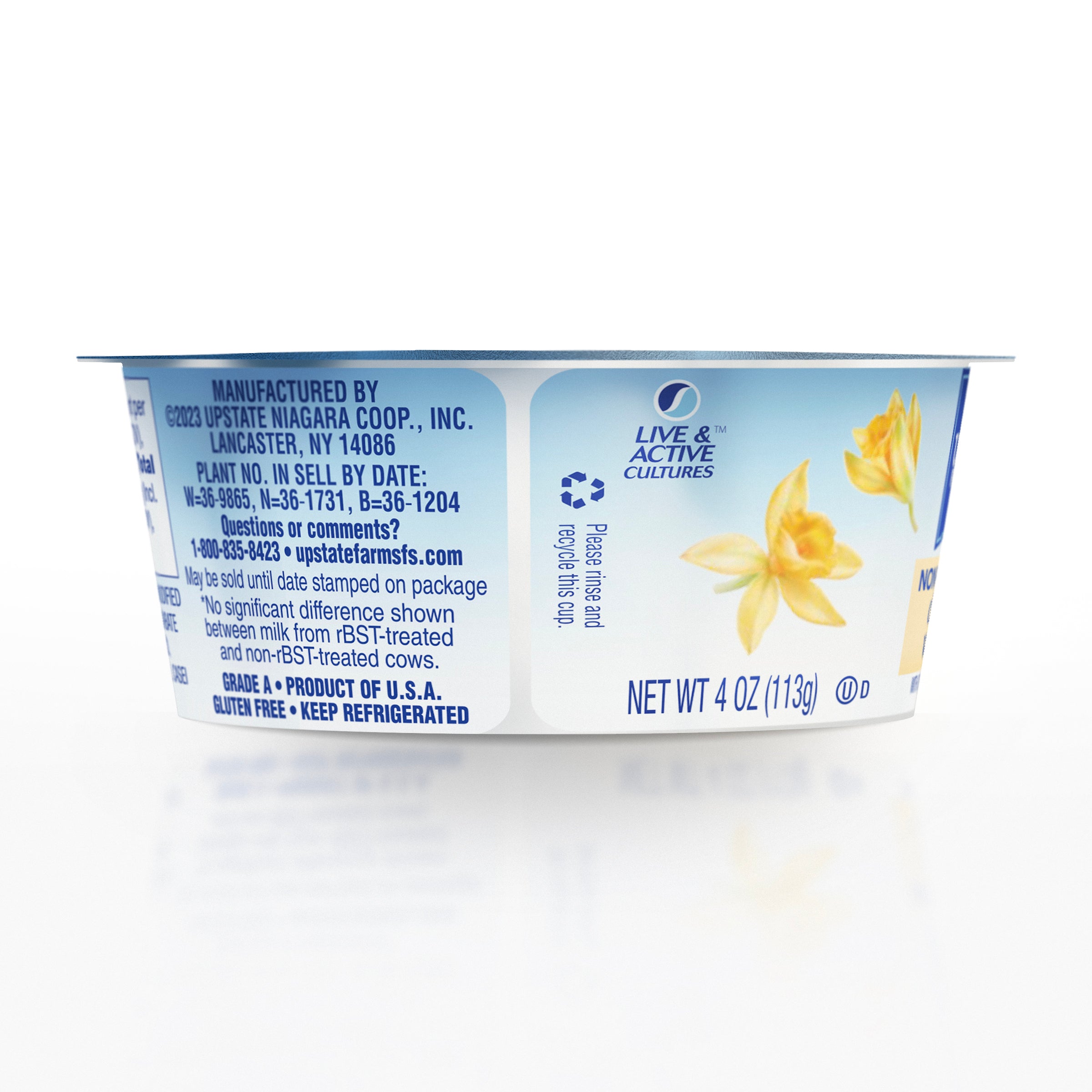Nonfat Vanilla Yogurt