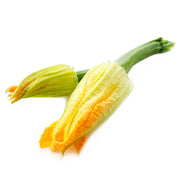 Squash Blossom