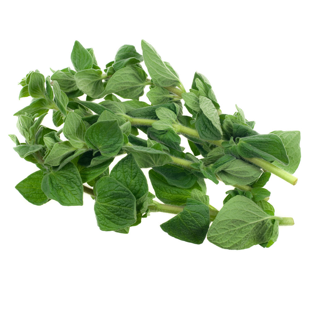 Bunched Oregano 2oz