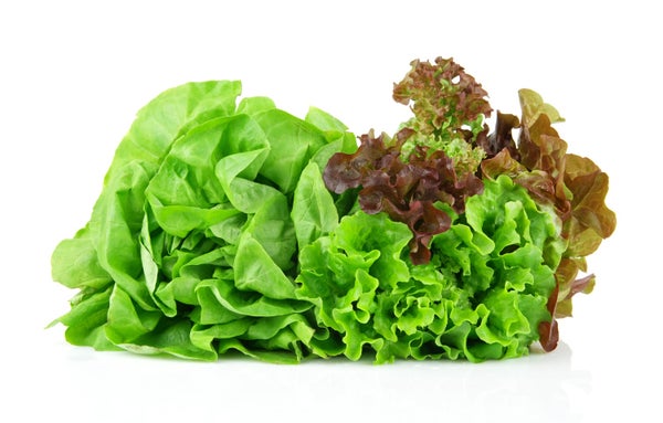 Baby Red & Green Leaf Lettuce