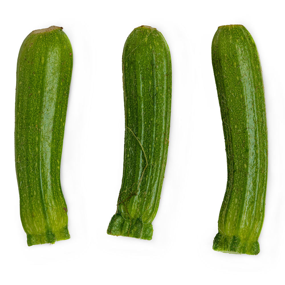 Baby Green Squash