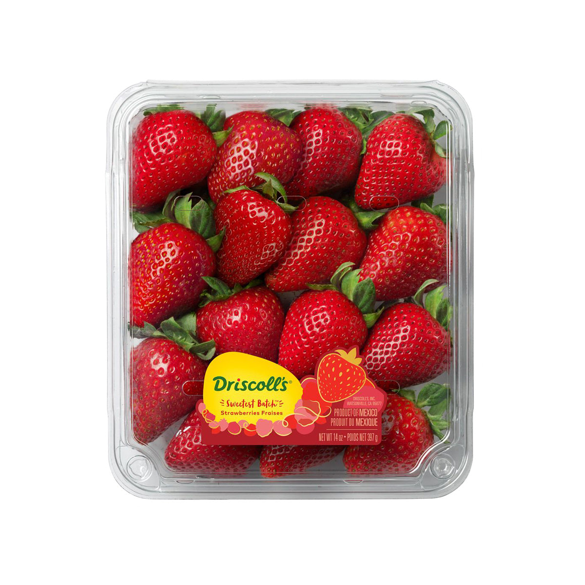 Sweetest Batch Strawberries