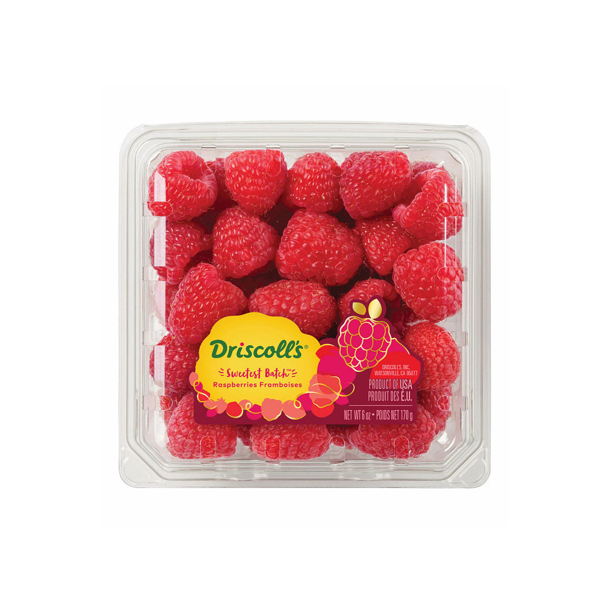 Sweetest Batch Raspberries