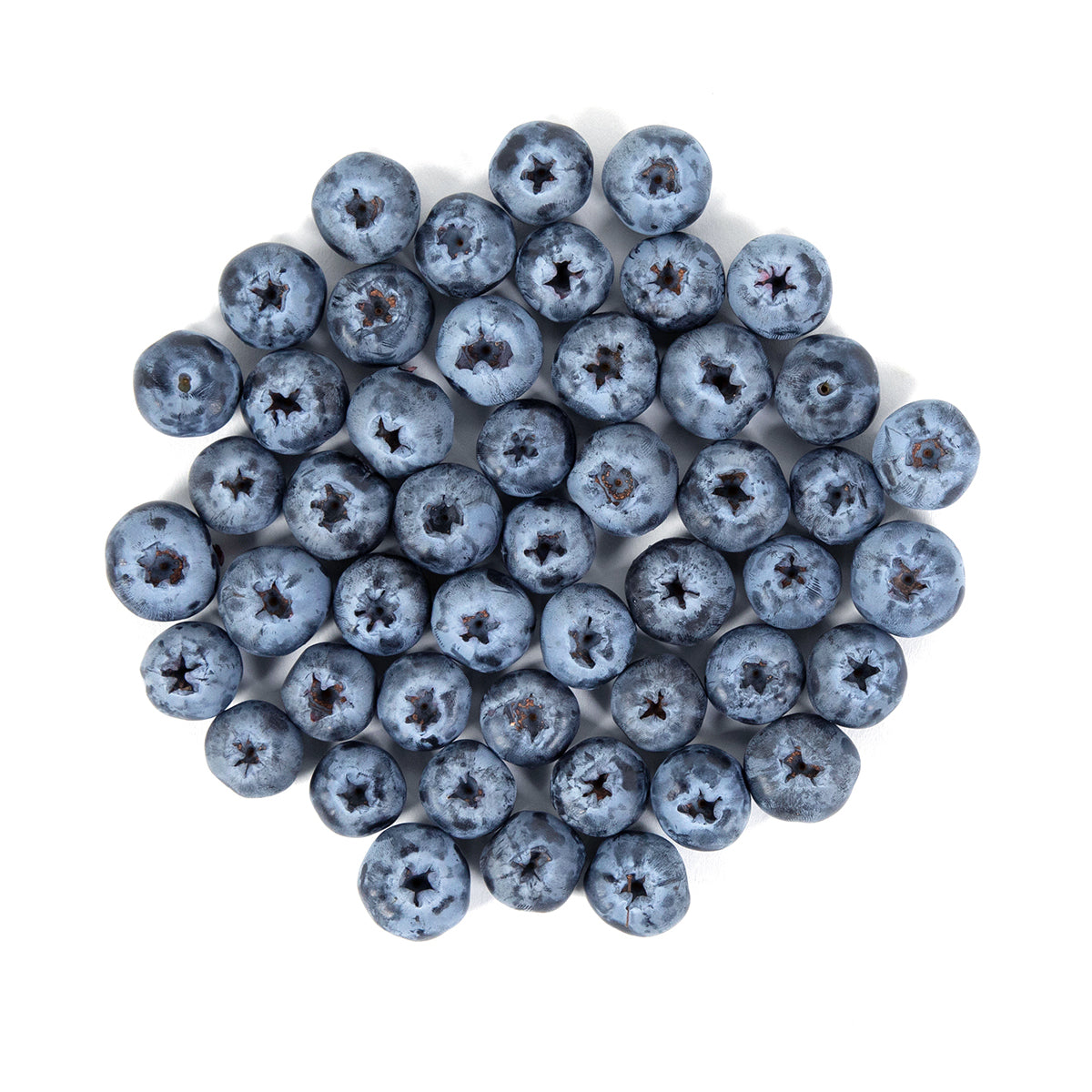 Sweetest Batch Jumbo Blueberries