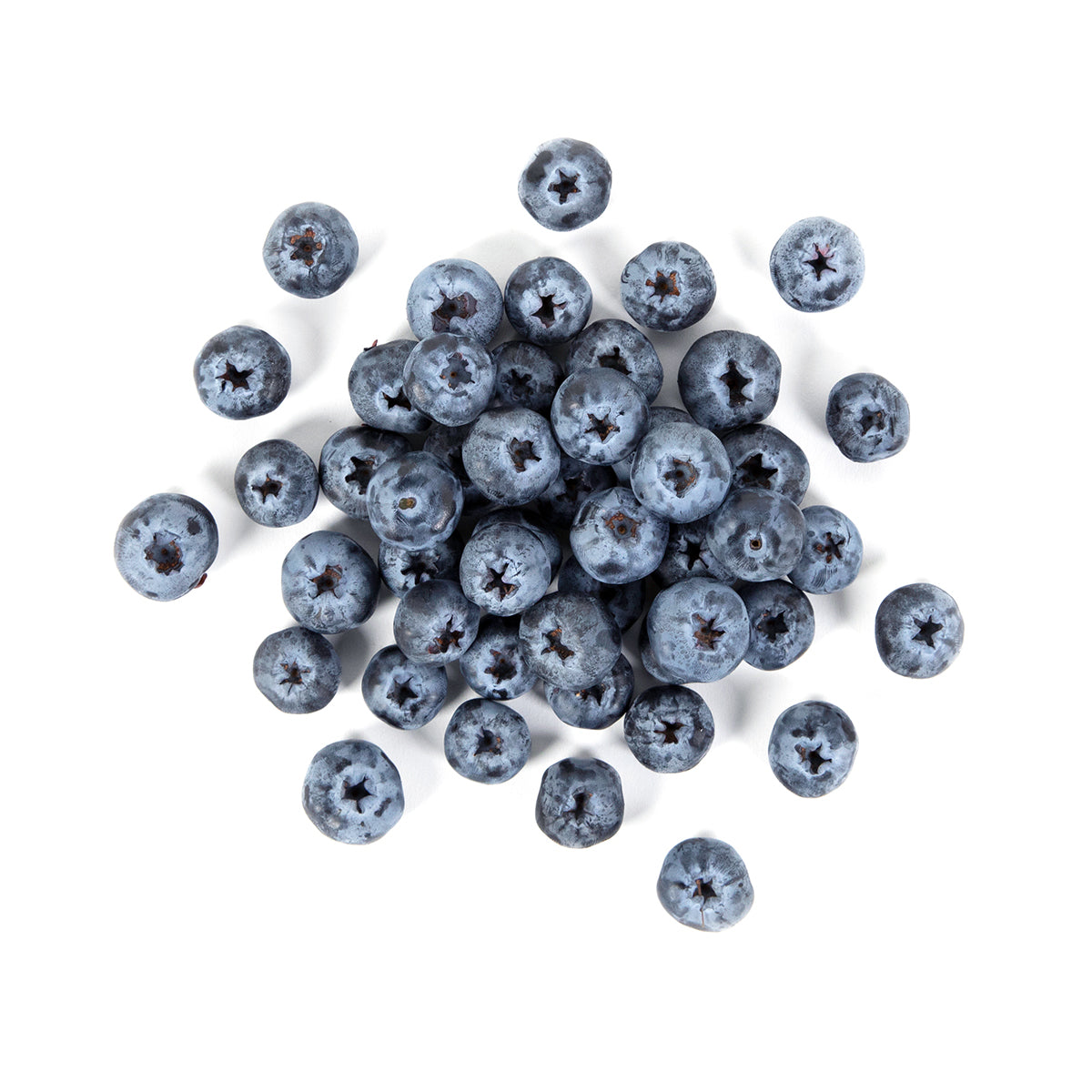 Sweetest Batch Jumbo Blueberries