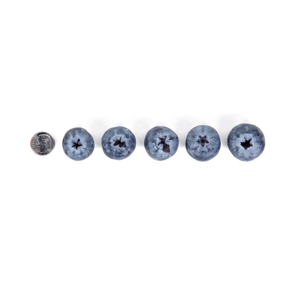 Sweetest Batch Jumbo Blueberries