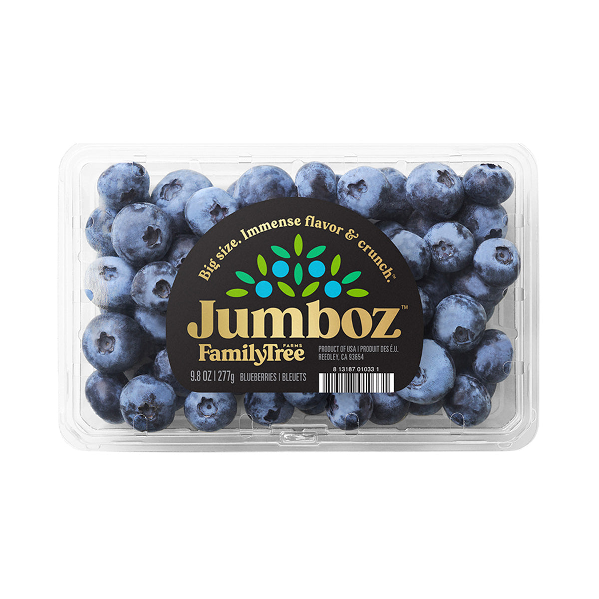 Jumboz Jumbo Blueberries