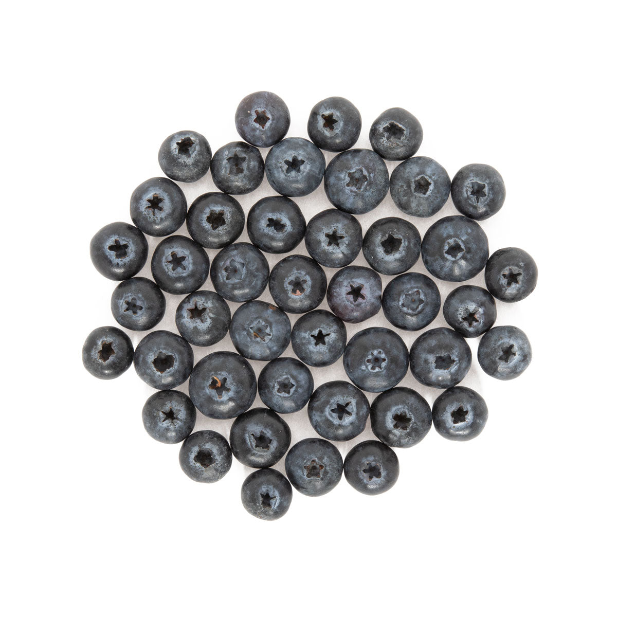 Jumboz Jumbo Blueberries